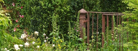 2013切爾西花展金獎