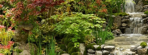 2013切爾西花展金獎：日本壁龕花園