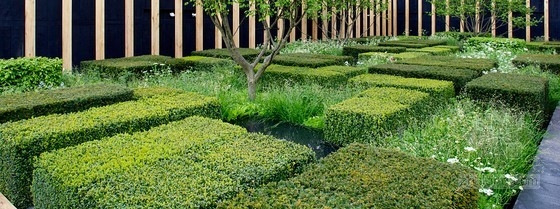 2013切爾西花展金獎：每日電訊報花園