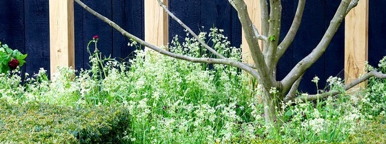 2013切爾西花展金獎：每日電訊報花園