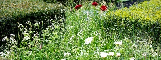 2013切爾西花展金獎：每日電訊報花園