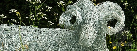 2013切爾西花展游客選擇獎——約克郡花園