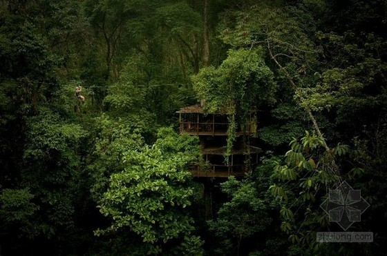 可持續樹屋社區