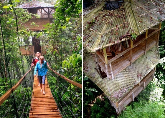 可持續樹屋社區