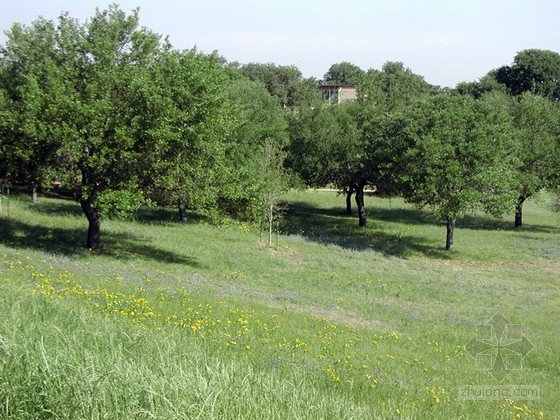 佐佐木公司設(shè)計的美國圣愛德華大學(xué)景觀總體規(guī)劃