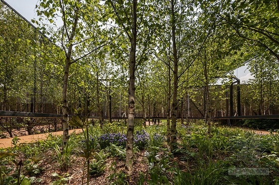 法國(guó)肖蒙國(guó)際園林展：具有無限深度的花園