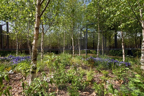 法國(guó)肖蒙國(guó)際園林展：具有無限深度的花園