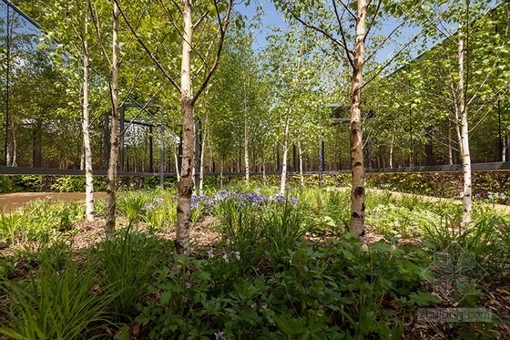 法國肖蒙國際園林展：具有無限深度的花園