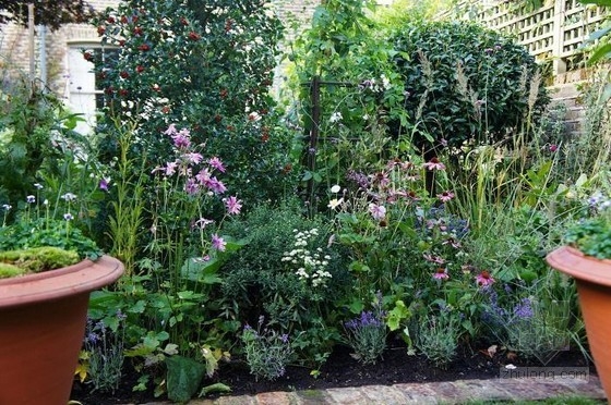 倫敦古玩家Will Fisher的花園