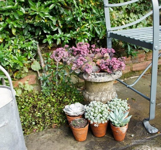 倫敦古玩家Will Fisher的花園