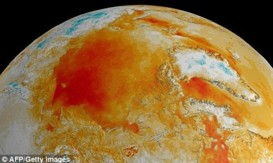 過去30年 全球溫度升高或致植物“瘋長”