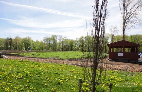 美國斯塔頓島避風港植物園