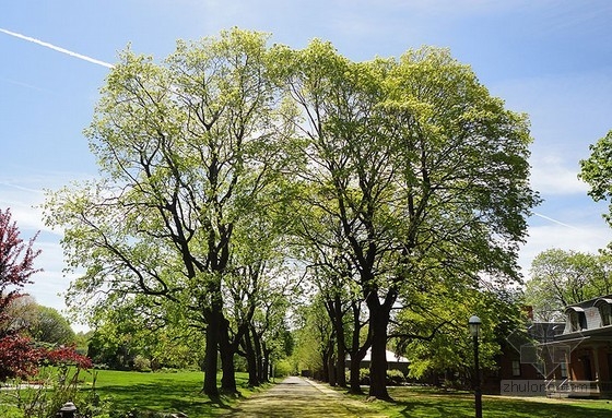 美國斯塔頓島避風港植物園