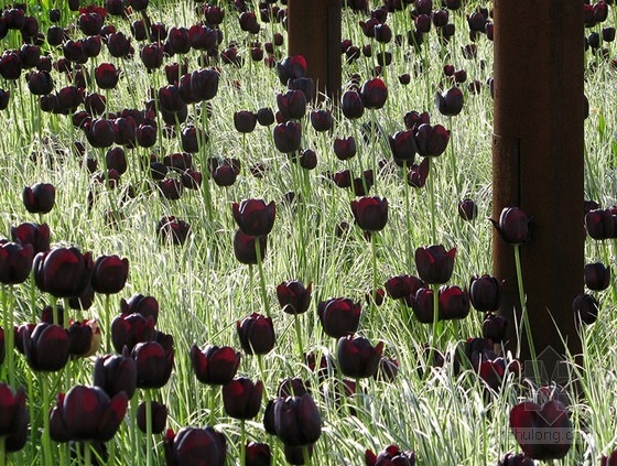 丹麥BRFkredit總部廣場景觀設計