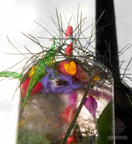 Lottie Muir設(shè)計(jì)的倫敦屋頂?shù)碾u尾酒花園酒吧