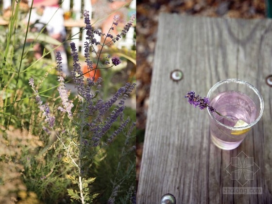 Lottie Muir設計的倫敦屋頂的雞尾酒花園酒吧