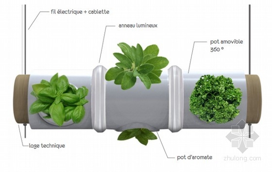 ThibautDelefortrie等設計的燈管上的香草花園