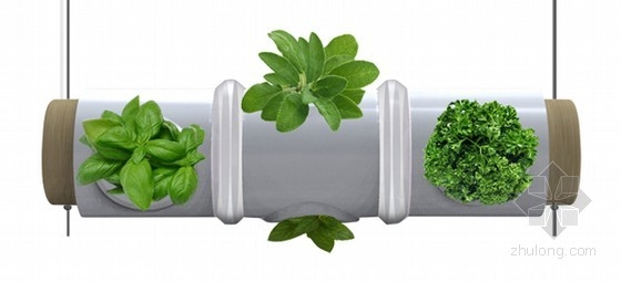 ThibautDelefortrie等設計的燈管上的香草花園