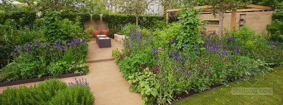 2013切爾西花展金獎：“播下改變之種”花園