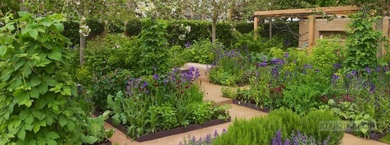 2013切爾西花展金獎：“播下改變之種”花園