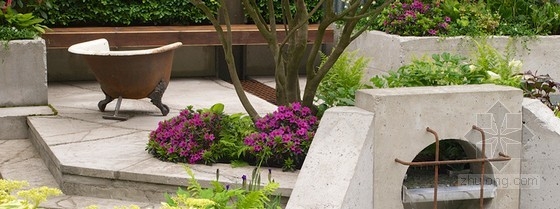 2013切爾西花展金獎:“荒原”花園