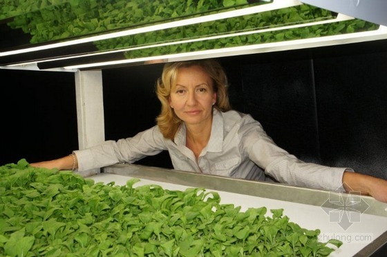 美國最大的室內有機農場