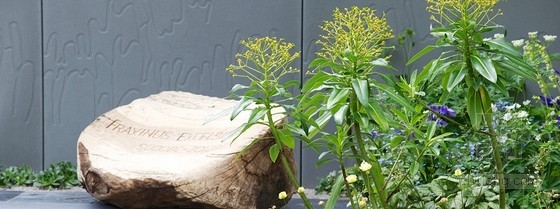 2013切爾西花展銀獎：“停止傳播”花園