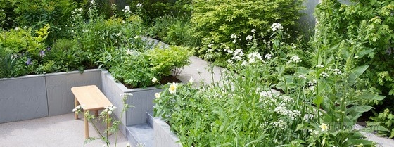 2013切爾西花展銀獎：“停止傳播”花園