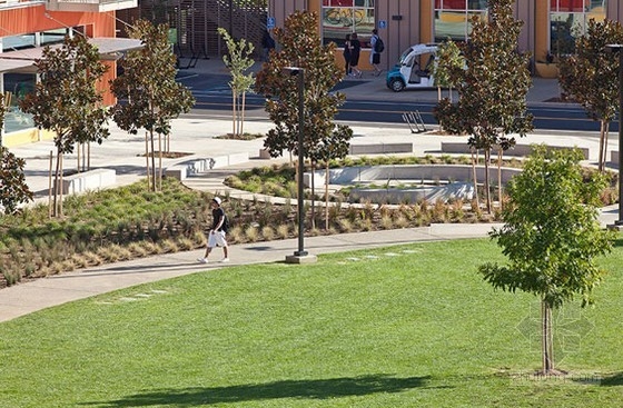 加州大學戴維斯分校西村建設項目