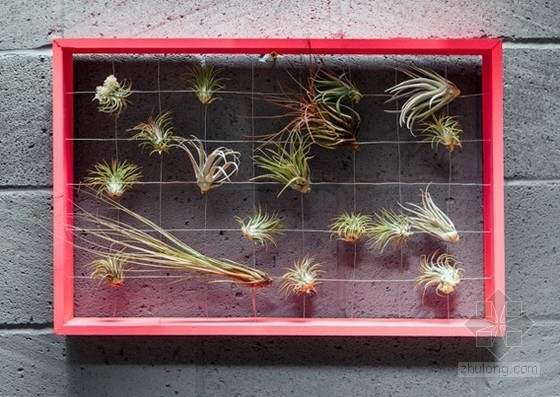 切爾西藝穗節上的Squint輕松花園