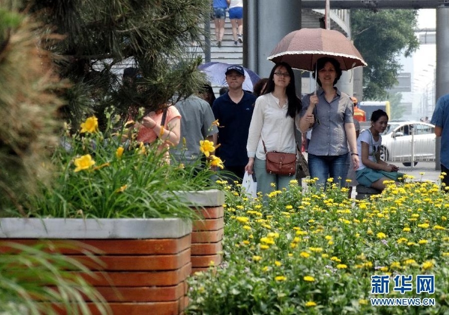 北京：加大城市綠化工作 鮮花扮靚城市生活