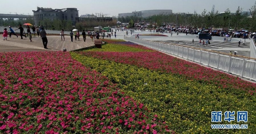 北京：加大城市綠化工作 鮮花扮靚城市生活