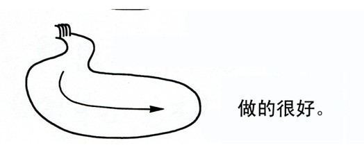 瀑布在溪流和水池的設置