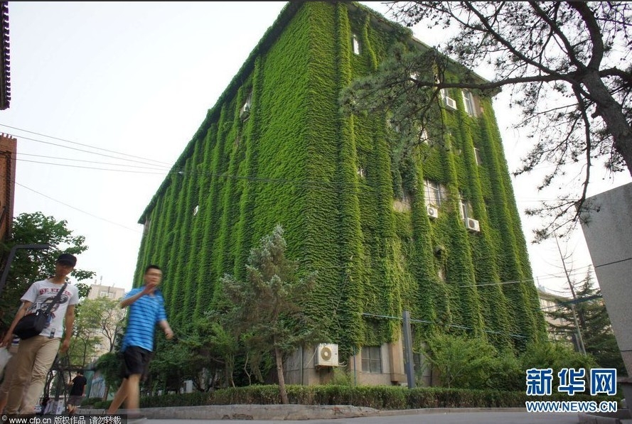 北京：滿樓盡穿“綠片甲” 清涼環保惹人眼