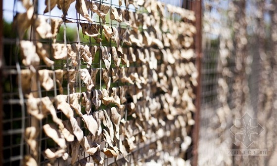 美國加利福尼亞州世界級景觀設計展