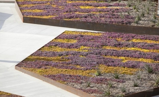 CMG設(shè)計(jì)的美國加州圣佩德羅太平洋濱海規(guī)劃