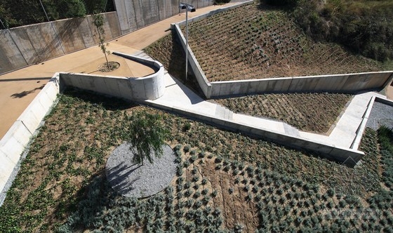 巴塞羅納坎喬丹娜居民區(qū)規(guī)劃