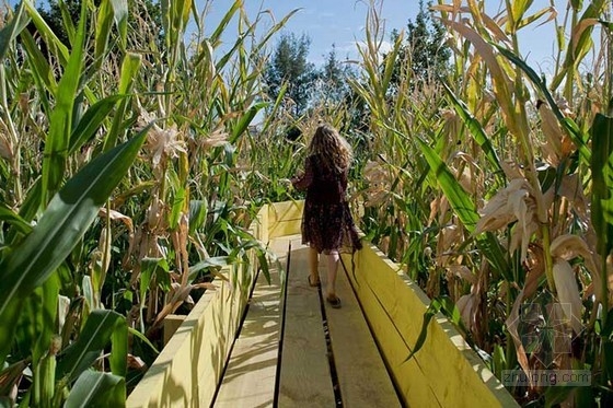 智利圣地亞哥鄉村小徑花園