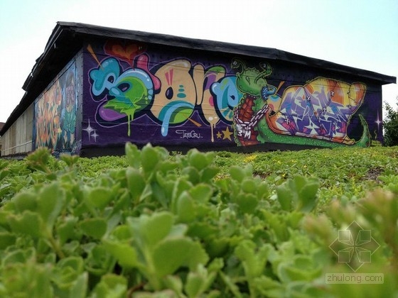 XeroFlor設計的美國新南布朗克斯綠色屋頂