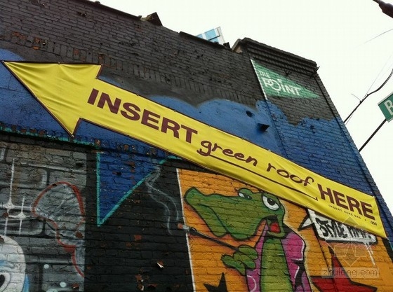 XeroFlor設計的美國新南布朗克斯綠色屋頂