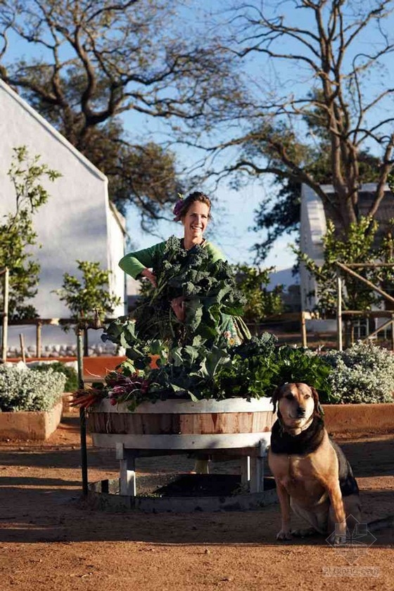 南非開普敦農場酒店的奇妙花園