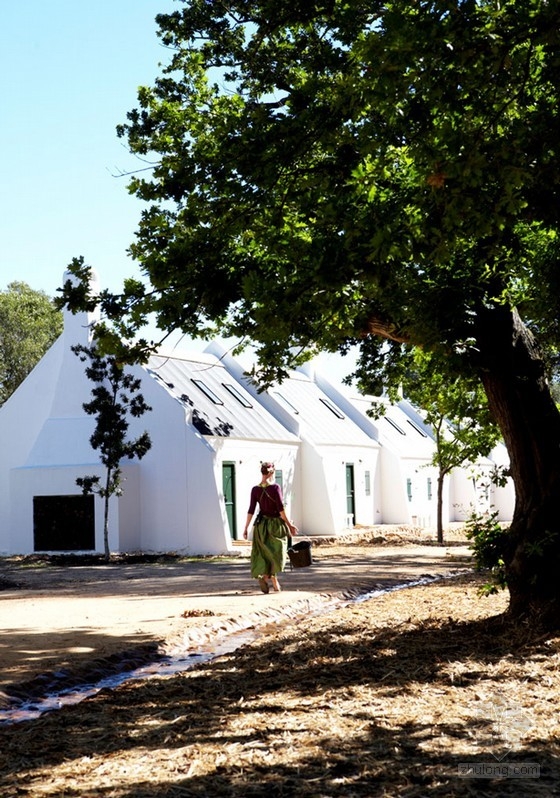 南非開普敦農場酒店的奇妙花園