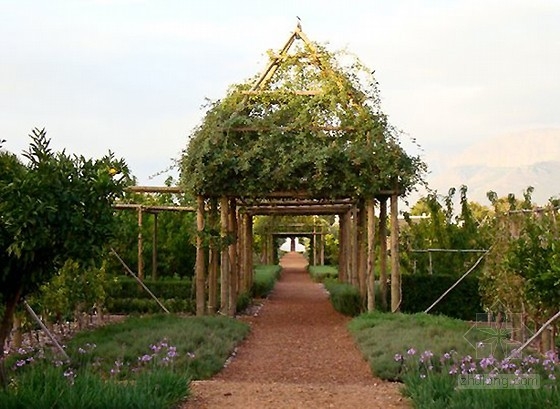 南非開普敦農(nóng)場(chǎng)酒店的奇妙花園