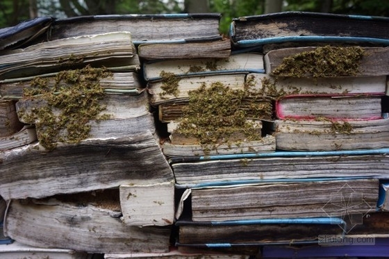 加拿大Connaissance花園