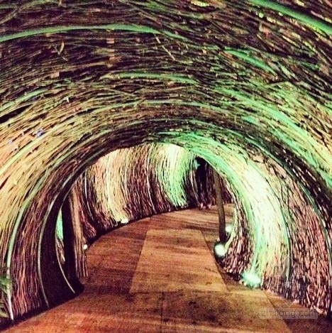 圣多明哥音樂節藤條隧道