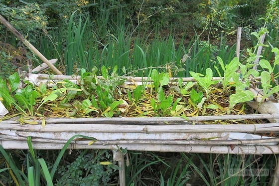 布宜諾斯艾利斯的“回響村”