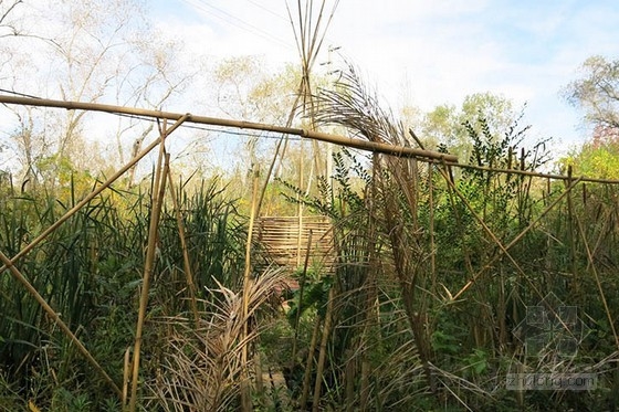 布宜諾斯艾利斯的“回響村”