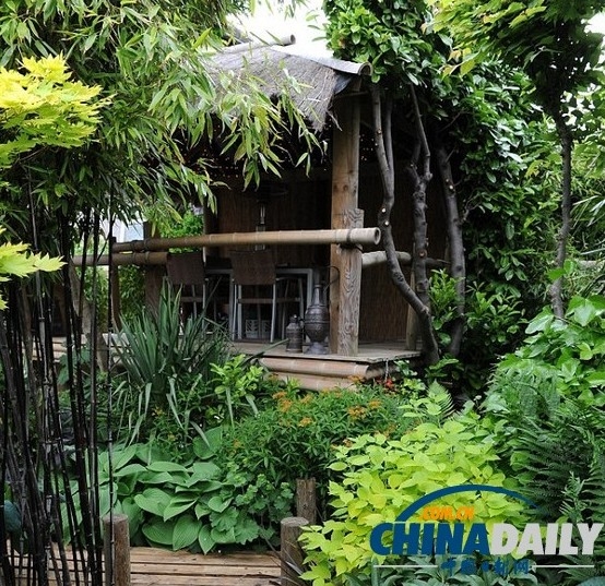 熱帶花園中央甚至有一座小木屋，威爾遜可以在此招待客人。