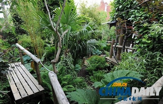 盡管冬季的約克郡氣溫常常降至零下，但是威爾遜的熱帶植物應(yīng)付得了英國(guó)的天氣，令人吃驚。