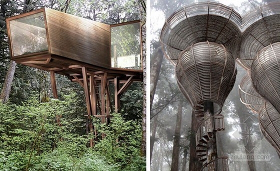 Antony Gibbon設(shè)計的樹屋Embryo